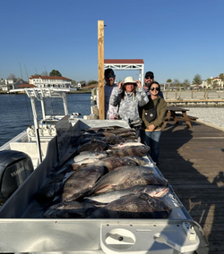 Louisiana's Fishing Sheepshead Bounty